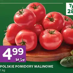 Stokrotka Express Pomidory oferta