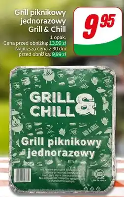 Dino Grill piknikowy jednorazowy Grill & Chill oferta
