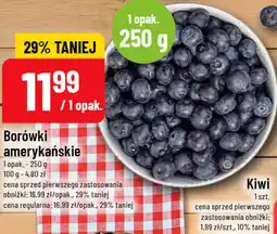 Polomarket Borówki amerykańskie oferta