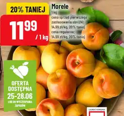 Polomarket Morele oferta