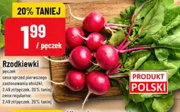 Polomarket Rzodkiewki oferta