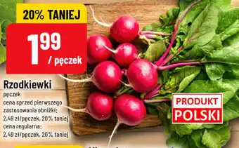 Polomarket Rzodkiewki oferta