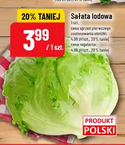 Polomarket Sałata lodowa oferta