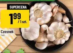 Polomarket Czosnek oferta