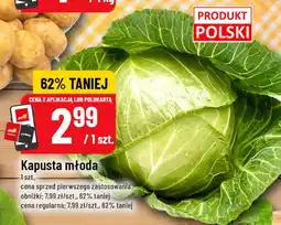 Polomarket Kapusta młoda oferta