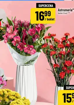 Polomarket Astromerie oferta