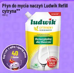 Polomarket Płyn do mycia naczyń Ludwik Refill cytryna oferta