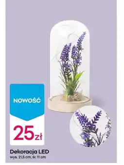 Pepco Dekoracja oferta