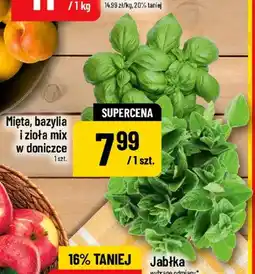 Polomarket Zioła mix w doniczce oferta