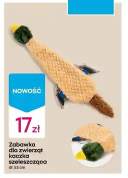 Pepco Zabawka dla zwierząt oferta