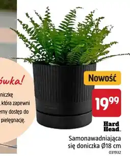 Jula Doniczka samonawadniająca się Hard Head Ø18 cm oferta