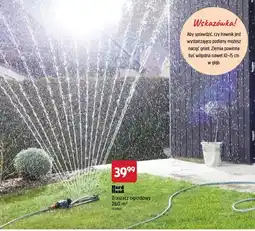 Jula Zraszacz ogrodowy Hard Head 260 m² oferta