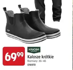 Jula Kalosze krótkie Kayoba Outdoor oferta