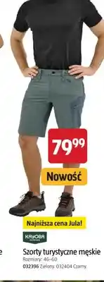 Jula Szorty turystyczne męskie zielone Kayoba Outdoor oferta