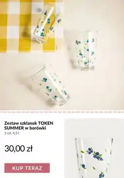 Homla Zestaw szklanek TOKEN SUMMER w borówki oferta