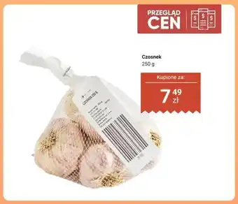 Dino Czosnek oferta