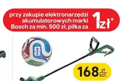 Castorama Piłka oferta