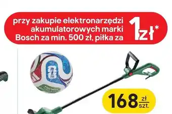 Piłka