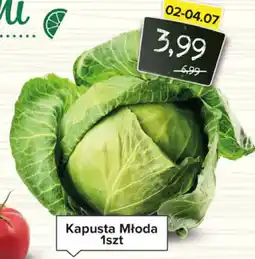 Spiżarnia Smakosza Kapusta młoda oferta