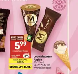 Delikatesy Centrum Lody Magnum oferta