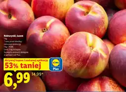 Lidl Nektarynki Plus-Plus oferta
