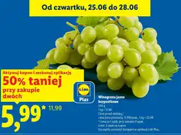 Lidl Winogrona Plus-Plus oferta
