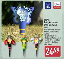 ALDI Lampka solarna Belavi oferta