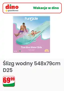 Dino Ślizg wodny 548x79cm D25 oferta