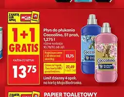 Biedronka Płyn do płukania Coccolino Perfume & Care oferta