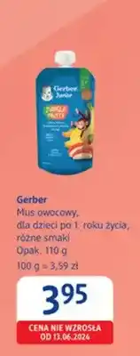 dm drogerie markt Mus owocowy Gerber Jungle Fruits oferta