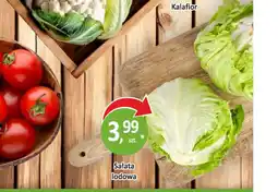 Passa Sałata lodowa oferta
