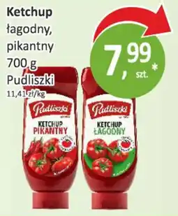 Passa Ketchup łagodny, pikantny Pudliszki oferta