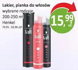 Passa Lakier, pianka do włosów Henkel oferta