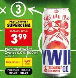 Biedronka Piwo truskawką Żywiec 0,0%, 500 ml oferta