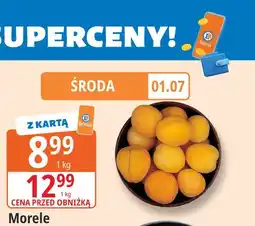 E.Leclerc Morele oferta