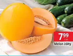 E.Leclerc Melon żółty oferta