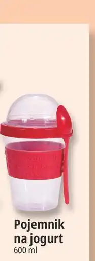 E.Leclerc Pojemnik na jogurt oferta