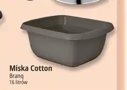 E.Leclerc Miska Cotton oferta