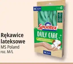 E.Leclerc Rękawice lateksowe MS Poland oferta