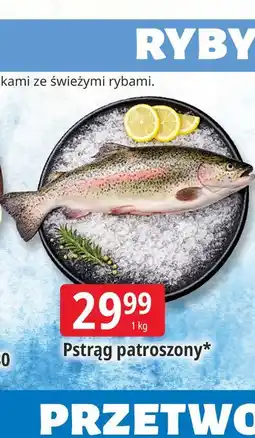 E.Leclerc Pstrąg patroszony oferta