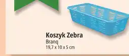 E.Leclerc Koszyk Zebra oferta