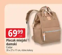 E.Leclerc Plecak miejski damski Cedar oferta