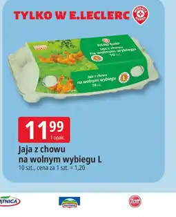 E.Leclerc Jaja z chowu na wolnym wybiegu L oferta