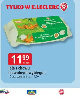 E.Leclerc Jaja z chowu na wolnym wybiegu L oferta