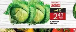 Wafelek Kapusta młoda oferta