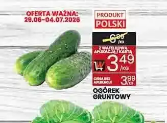 Wafelek Ogórek gruntowy oferta