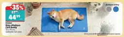 Biedronka Mata chłodząca Chill Buddy Domarex 50x90 cm niebieska oferta