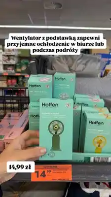 Biedronka Wentylator z podstawką Hoffen oferta