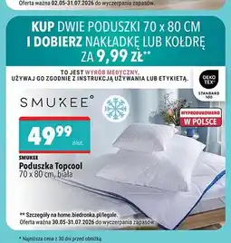 Biedronka Poduszka Smukee Topcool oferta