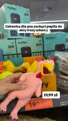 Biedronka Zabawka winylowa dla psa Active Pets oferta